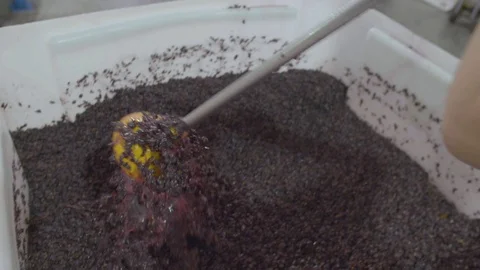 Worker pounding grapes in factory Stock Footage 87808655