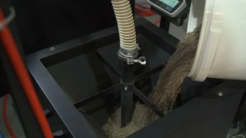 Worker pouring coffee beans into equipment during working day at factory spbas. Stock Footage 162732900