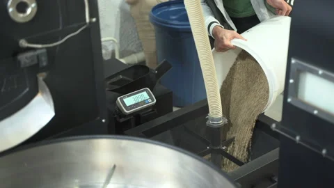Worker pouring coffee beans inside weighing equipment and working in modern Stock Footage 166017805