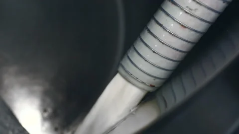 Worker pouring milk into a container. Worker of mozzarella process Video stock 131342714