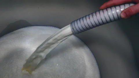 Worker pouring milk into a container. Worker of mozzarella process 스톡 동영상 131343518