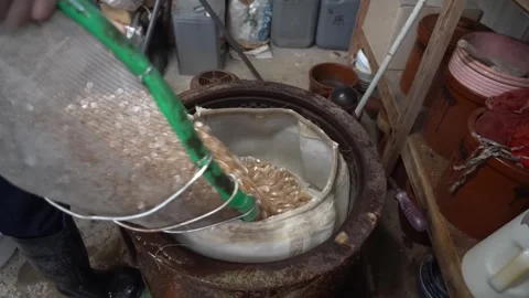 Worker pouring pale shell buttons from a green rimmed sieve into a large 動画素材 347123865