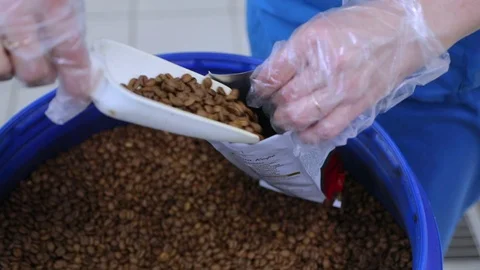 Worker pours roasted coffee beans in the package. Slow-motion. Stock Footage 72707781