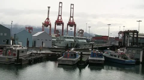 Worker Power Cleaning Dock With High Pressure Hose Video stock 16293977