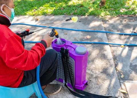 A worker prepares a purple backpack sprayer, rinsing the filter with water .. Stock Photos