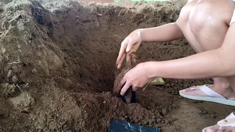 A worker prepares soil for planting media in a black plastic Stock Footage 158719245