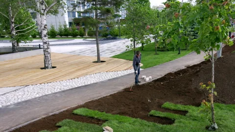 Worker preparing ground for grass planting on park lawn Stock Footage 246053305