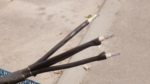 The worker is preparing a new cable for replacement on the power transmission Stock Footage 244639168
