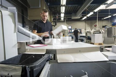 Worker Preparing Paper For Machine In Print Workshop