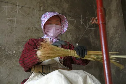 Worker processing the broom in the workshop, Luannan County, Hebei Province.. Stock Photos