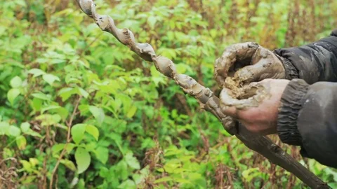Worker produces drilling to test soil before installing the base. Construction. Video stock 71270352