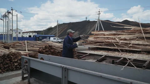 Worker In Protective Gloves Throws Off Wood Scraps To A Processing Conveyor Belt Stock Footage 171534986