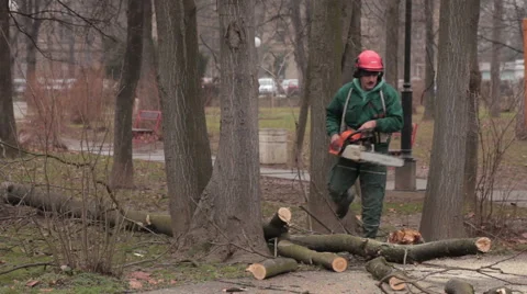 Worker with protective helmet on head cutting wood with chainsaw in the park. Stock Footage 46685600