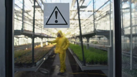 Worker in protective uniform hosing plants in greenhouse, warning sign on door Stock-Footage 118962024