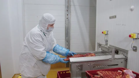 Worker in protective uniform stacks pieces of bacon on line in preparation for Stock Footage 205489043