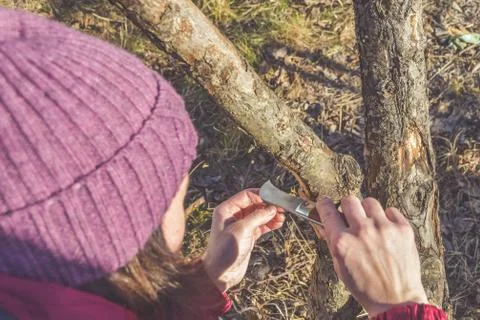Worker pruning garden trees in spring Fotos de archivo