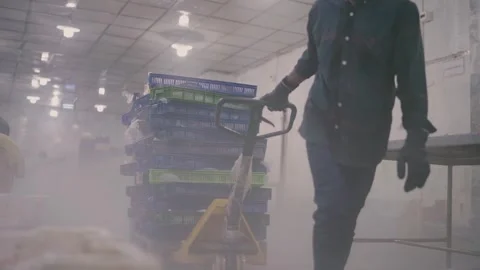 Worker Pulling Cart of Fish Crates in Foggy Cold Storage Room in Karachi Stock Footage 320674509