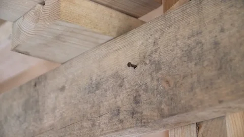 The worker pulls out mistakenly hammered nail. Crowbar pulled out the nail. The Stock Footage 103311748