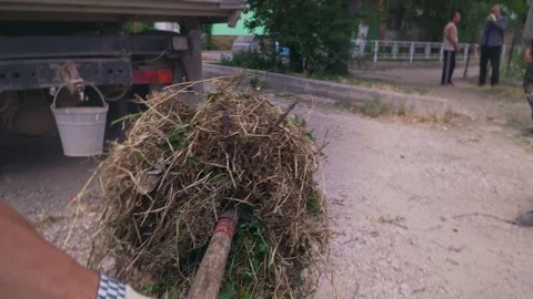 Worker pushes forks throwing a bunch of dried grass in the car. First-person vie Stock Footage 102564311