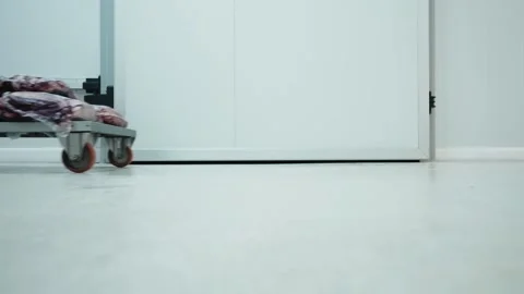 Worker pushing meat trolley inside food processing facility Stock Footage 327517083