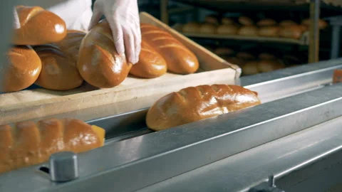 Worker put fresh bread. long loaves on the conveyor. 4K. Stock Footage 85899765