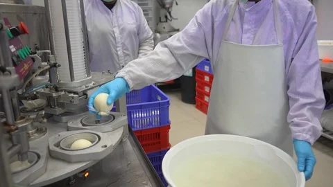 A worker puts cheeses in the machine in the process of making cheese in facto Stock Footage 129928134