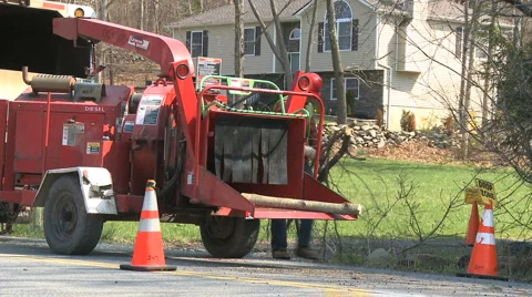 Worker puts limbs in wood chipper (4 of 4) Stock-Footage 3779188