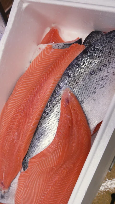 Worker puts salmon fillets in a box on the fish factory. Stock Footage 243146534