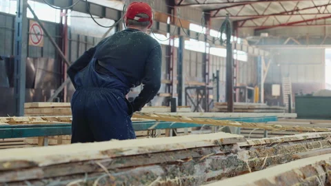 Worker Puts Timber Boards On Workbench For Processing In Wood Sawing Workshop Stock Footage 205333674