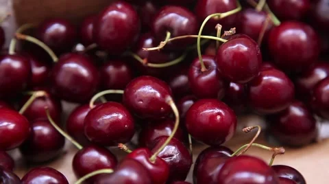 Worker putting cherries in box Stock Footage 64721850