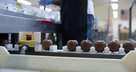 Worker putting chocolate balls on a conveyor belt Stock Footage 104001506