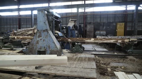 Worker is putting the huge logs under an industrial timber processing machine Stock Footage 169986047