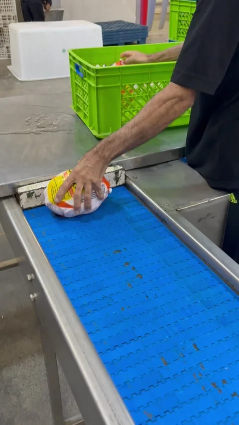 Worker putting packaged chicken on conveyor belt in plant, vertical Stock Footage 345164843