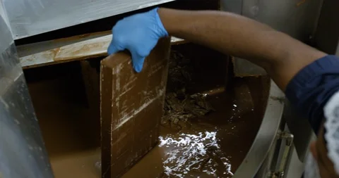 Worker putting slabs of chocolate in a melting machine in a chocolate factory Stock Footage 103999932