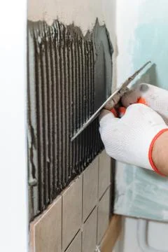 Worker  putting  tiles on the wall in the kitchen. Stock Photos