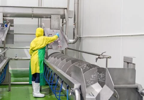 Worker rake offal to mini chiller for cool down and  cleaning. Stock Photos