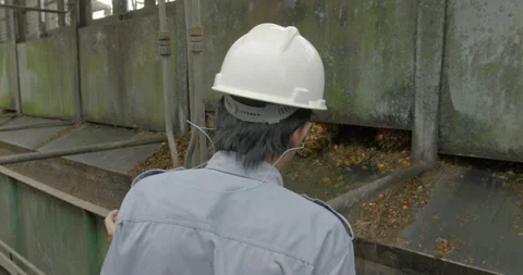 Worker regulating amount of oil palm fruit passing through, Indonesia Vídeo Stock 141432492