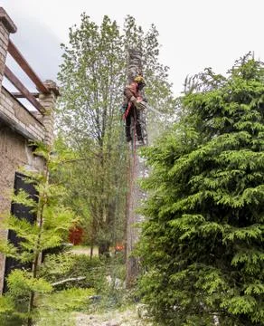 Worker on the rest of the trunk. Stock Photos