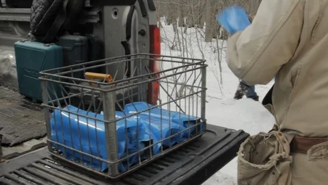 Worker Retrieves Maple Sap Collection Bags from Truck for Maple Syrup Production Stock Footage 124827238