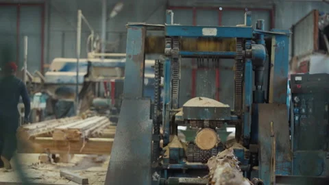 Worker Rolls Wooden Log For Processing By Heavy Saw Machine In Workshop Stock Footage 224216585