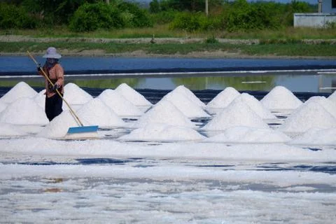 Worker on the salt field Stock Photos