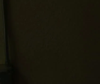 Worker sanding on mandolin Video stock 21592760