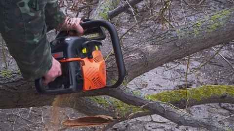 Worker is sawing a big branch of a tree with a chainsaw close-up Stock Footage 105380529