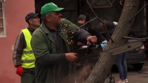 A worker sawing a broken tree after a hurricane Stock Footage 237086445