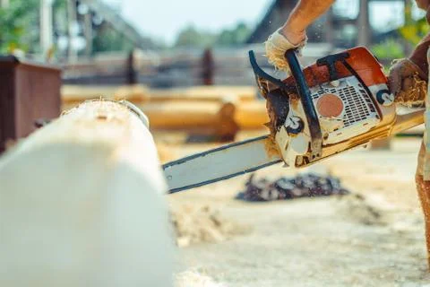 Worker sawing a chainsaw tree Stock Photos