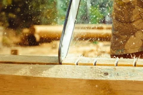 Worker sawing a chainsaw tree Stock Photos