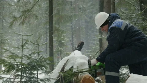 Worker sawing with chainsaw in winter forest 库存影片 87762945