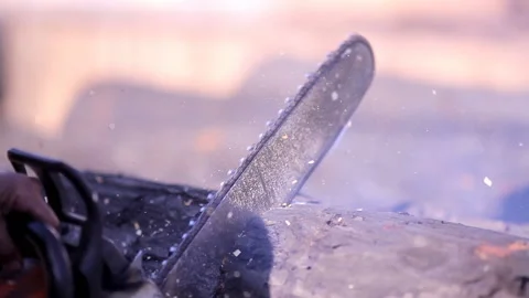 Worker sawing a log chainsaw. Close-up Vídeo Stock 151047624