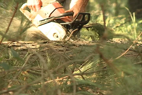Worker sawing wood 库存影片 37629375