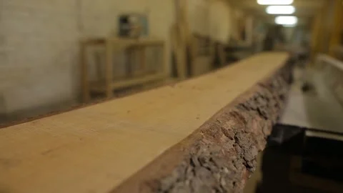 A worker at the sawmill measures the measuring tape and notes with a pencil for Video stock 102428577